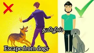 How to escape from dogs in tamil |நாய்களிடமிருந்து தப்பிப்பது எப்படி |everything possible