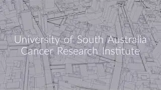 Pro AV Solutions | Cancer Research Institute Case Study