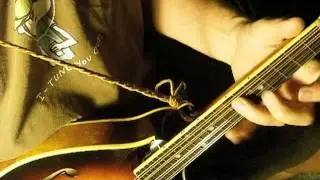Lonesome Fiddle Blues