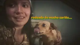 para sobrevivir solo se necesita F&eacute; en Jesucristo (mi relato) - vlog 2025