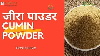 CUMIN POWDER PROCESSING  |  जीरा पाउडर प्रसंस्करण | NIFTEM PMFME SCHEME