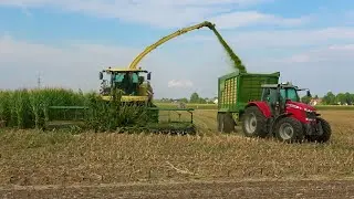 [Mais 2022] LU Schmerer Krone Big X 1180 beim Mais Häckseln für die BGA des Maschinenring Wetterau
