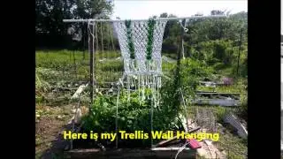 Garden Hand Made Bean Trellis for Community Garden in Washington DC