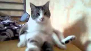 HektoPascal, der Chiller