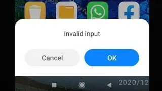 How to fix ERROR IN APP, INVALID INPUT