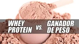 ¿Whey Protein ó Ganador De Peso para ganar músculo?