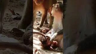 Bad mom Anna fighting so strong |