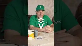 Сею томаты только так! Получаю крепкую рассаду и ранний урожай