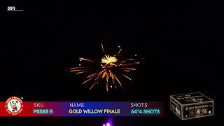 1.4G FIREWORKS: P5585 PARTY PYRO PACK 256 SHOTS (ASSORTED CASE)