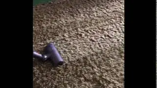 Dyson Cordless Vacuum Shag Rug Demo (Or High Pile Carpet)