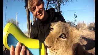 Modisa Wildlife..You just HAVE to see this... Oh myyyy!