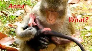 What is Anna do on baby newborn Anna like this? Hopefully Anna will correct some behavior!