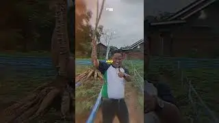 Narji Cagur Sibuk Jadi Petani 1000 Hektar?