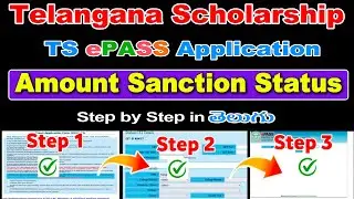 How To Check Scholarship Status 2024-25 | Telangana TS ePass Scholarship Amount Section Status