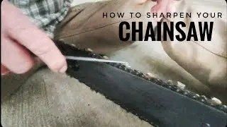 How to sharpen your chainsaw #logger #axemantv #heavyequipment