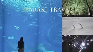 【vlog】茨城県大洗市・北茨城市五浦｜アクアワールド茨城県大洗水族館｜チームラボ幽谷隠田跡