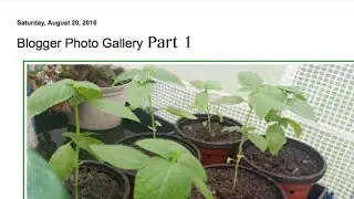 Фотогалерея блогера &mdash; Часть 1