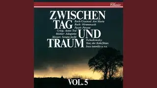 J.S. Bach: Brandenburg Concerto No. 6 In B Flat Bwv 1051