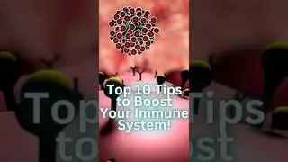 Top 10 Tips to Boost Your Immune System!