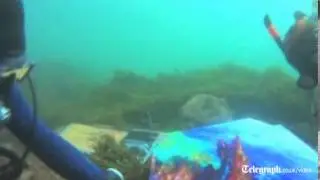 Artist creates paintings underwater