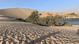 Paracas & Huacachina, Peru