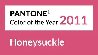 Pantone Color of the Year 2011: Honeysuckle 18-2120 (1 hour, Background, No sound, Full HD)
