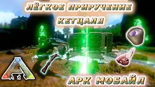 лёгкое приручение кетцаля 