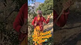 Tiger 🐅के इलाके में लकड़ी लेने जाना हुआ मुश्किल😭 #jungle