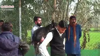 Track race Round 2 Yar Badsha Dhuryana coursing club Dhori 28 Dec 2025