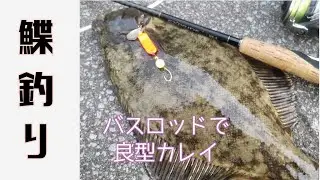 【カレイ】釣りを再開するの巻【ブラー釣り】