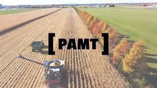 PAMT- Agente aux entreprises