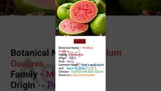 GUAVA AND BOTANICAL NAME #agriculture #viral #shorts #horticulture