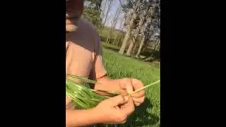 When to cut grass for hay