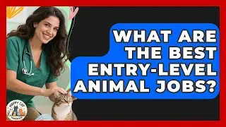 What Are The Best Entry-Level Animal Jobs? - Animal Care Jobs