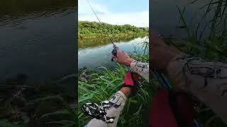 STARFALL DC &radic; Mesin bc MURAH bunyi zing. #amzfishing #shortsfeed