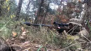 CZ513 + Steel