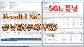 SQL 튜닝 - Parallel DML 튜닝팁 (주의사항)