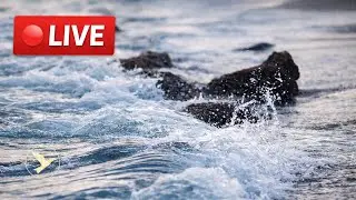 🔴 LIVE ▶ 🌊 OCEAN WAVES ON ROCKS ▶ REAL SEA SOUNDS FOR DEEP RELAXATION 🌊