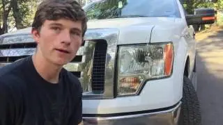 Fastest Way to Remove Bugs From Your Car