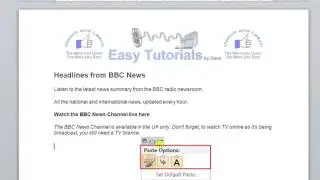 Microsoft Word 2010 Format painter cut copy and paste