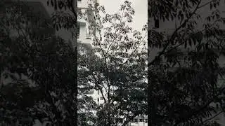 Effectof@CyclonePlays@mr.kachariiya