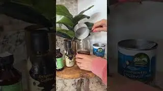 Coconut Emulsion Iced Coffee Recipe ft. Javy ✨