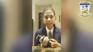National Science Day | Gaurav Memorial International School | Science Activities | 28th February
