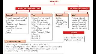 vaccine classification
