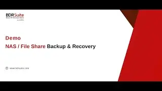 Backup e recupera  o de NAS Fileshare   BDRSuite