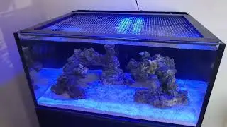 innovative marine lagoon 25 first start up