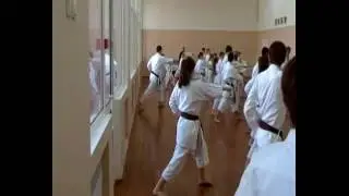 Даи Йон Кен / Dai Yhon Ken Asai system kata teaching master Dormenko Andrey