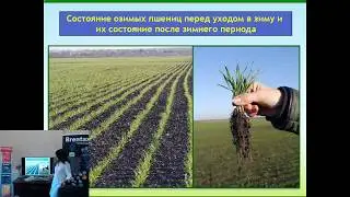 Обработка формой №1 на пропашных культурах, прямая трансляция Global Expert.