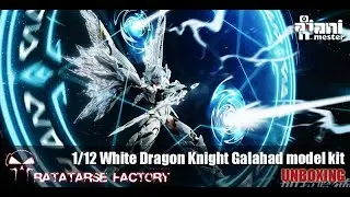 ANIMESTER White Dragon Knight Galahad 1/12 CYBERPUNK Model Kit : (unboxing fr)