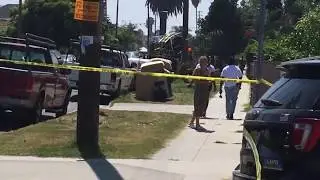 62 Street.Budlong Ave.Shooting 7-12-19